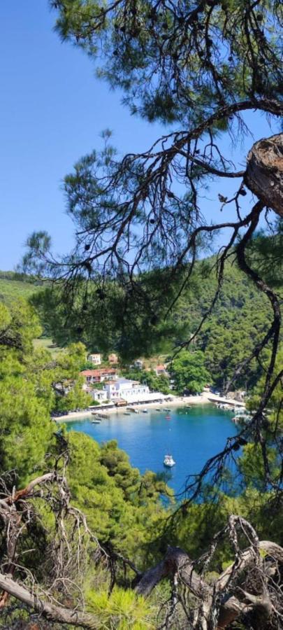 Skopelos Country House Diamantis & Chrisi Agnontas Eksteriør billede