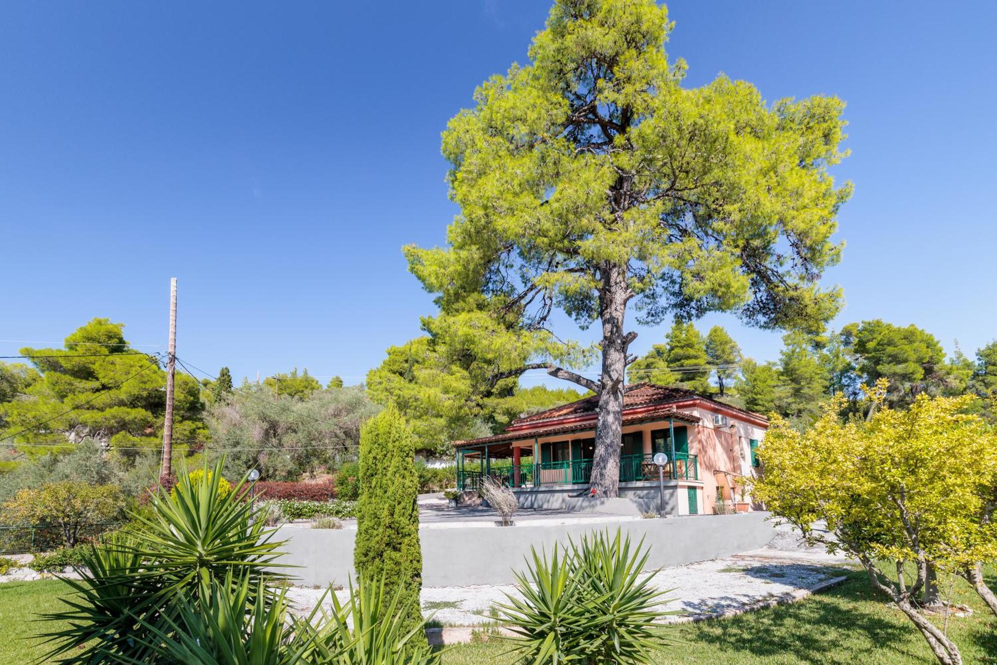 Skopelos Country House Diamantis & Chrisi Agnontas Eksteriør billede